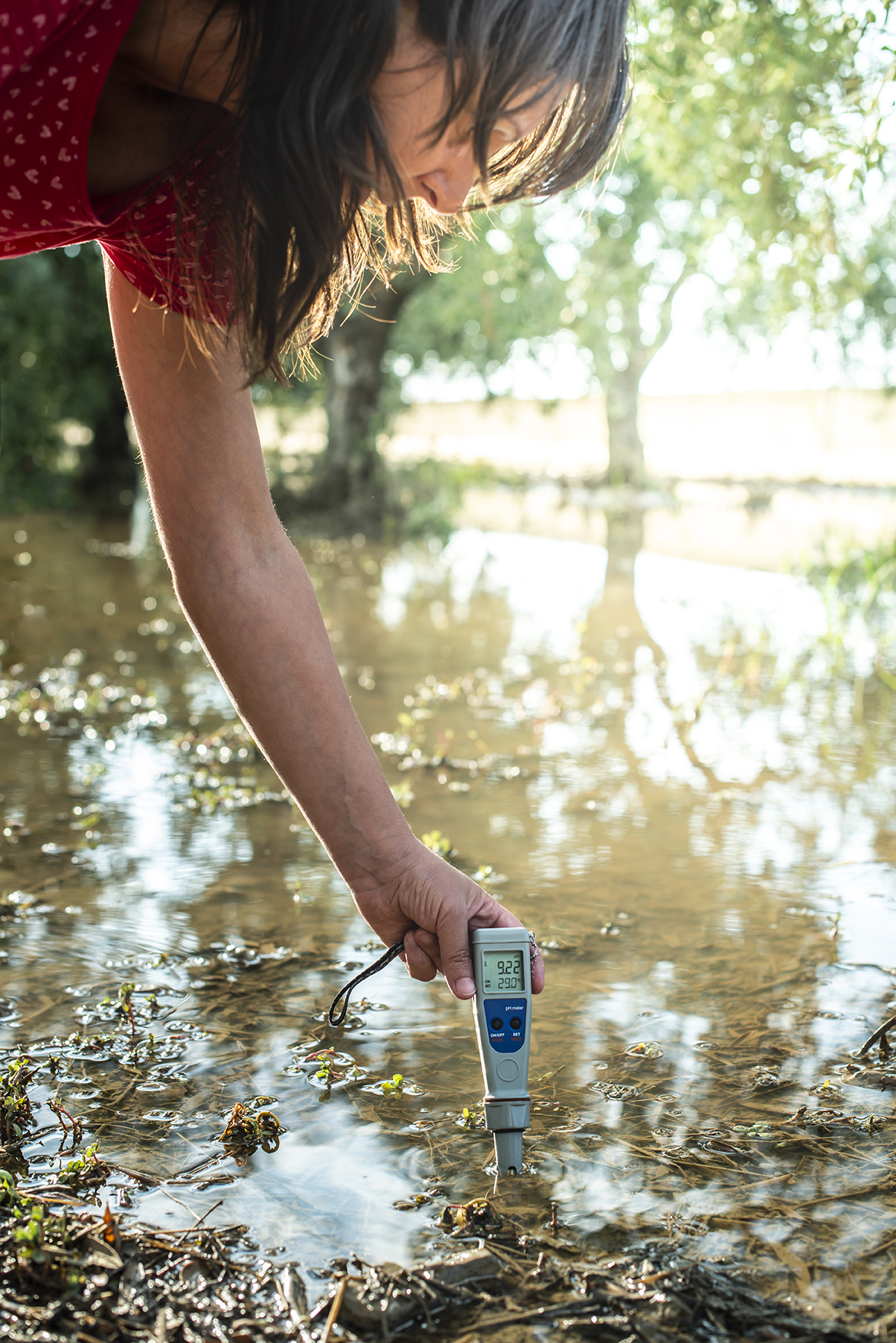 Measure water content with digital device. PH meter.